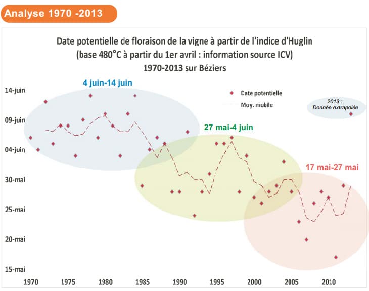 Image d'illustration pour Evolution des dates de floraison de la vigne dans l'Hérault