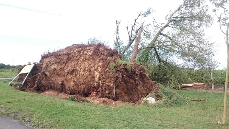 Image d'illustration pour Orages meurtriers et tornades : bilan du passage de l'ex tempête Henri