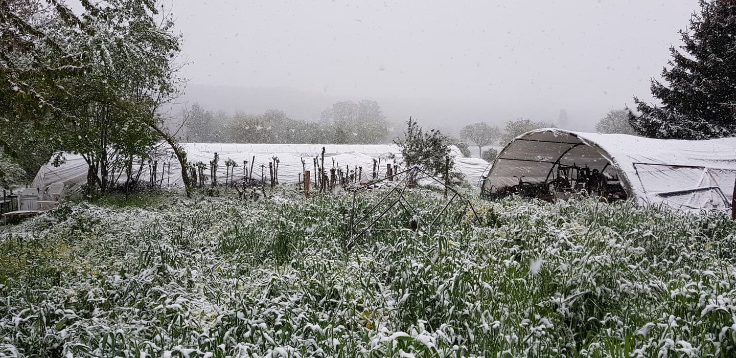 Image d'illustration pour Froid, neige et tempête : retour de l'hiver pour débuter mai ! 