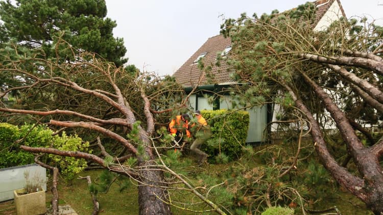 Image d'illustration pour Bilan de la tempête Nannette sur le Nord-Ouest 