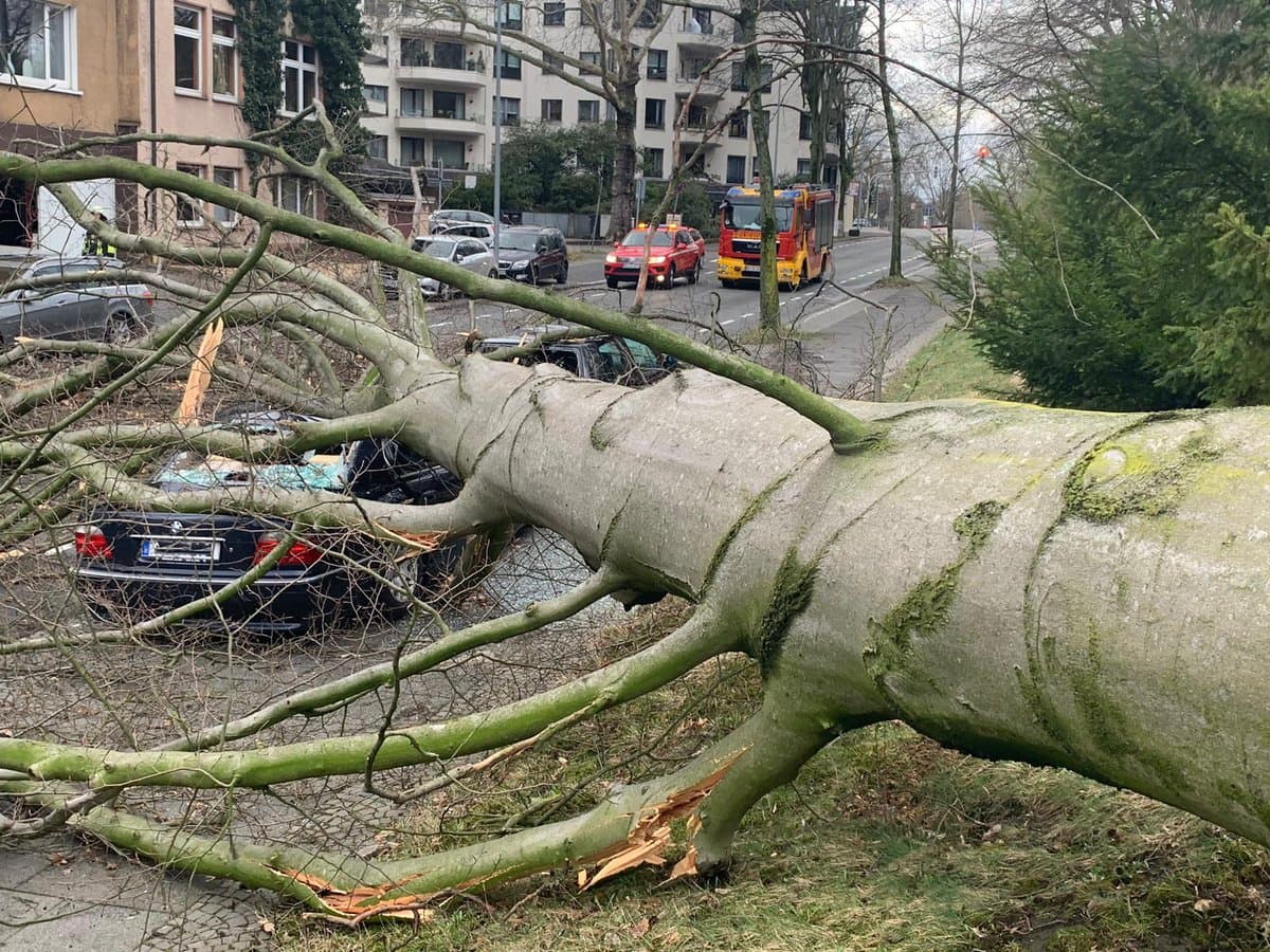 Image d'illustration pour Des dégâts sous les rafales de la tempête Eberhard