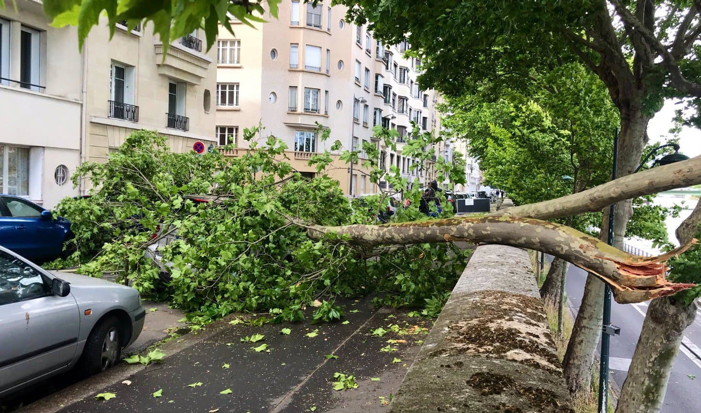 Image d'illustration pour Tempête Miguel en plein mois de juin