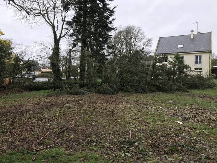 Image d'illustration pour Tempête Dennis : vents violents, fortes pluies et douceur au programme