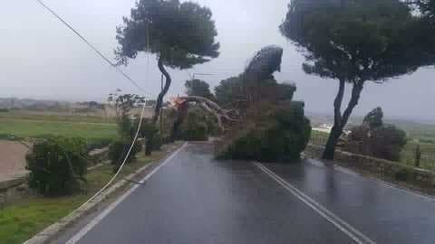 Image d'illustration pour Tempête et blizzard sur les Balkans et la Libye