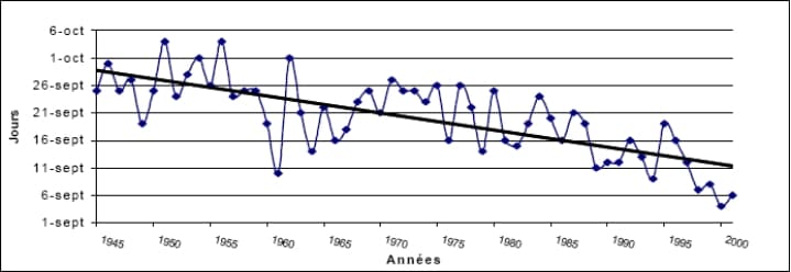 Image d'illustration pour Vendanges : la récolte 2017 sera la plus faible depuis 70 ans 