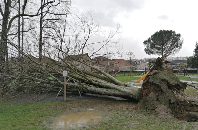 Image d'illustration pour Après Myriam, la dépression Elli touchera la France ce jeudi