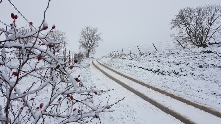Image d'illustration pour Dépression Bianca : bilan de la neige et des vents tempétueux