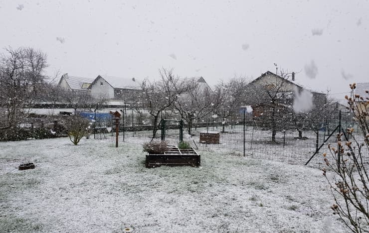 Image d'illustration pour Dépression Bianca : bilan de la neige et des vents tempétueux