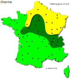 Image d'illustration pour La saison des pollens et des allergies bat son plein