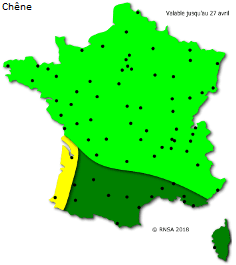 Image d'illustration pour La saison des pollens et des allergies bat son plein