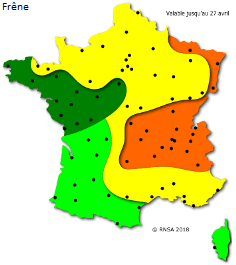 Image d'illustration pour La saison des pollens et des allergies bat son plein