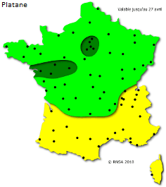 Image d'illustration pour La saison des pollens et des allergies bat son plein