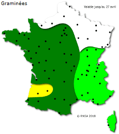 Image d'illustration pour La saison des pollens et des allergies bat son plein