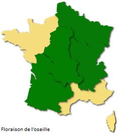 Image d'illustration pour La saison des pollens et des allergies bat son plein