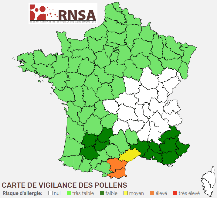 Image d'illustration pour Plus doux et plus lumineux : floraisons, pollens et allergies