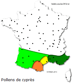 Image d'illustration pour Plus doux et plus lumineux : floraisons, pollens et allergies