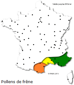 Image d'illustration pour Plus doux et plus lumineux : floraisons, pollens et allergies