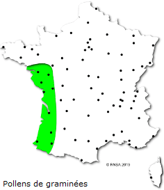 Image d'illustration pour Soleil et douceur favorisent floraisons et pollens