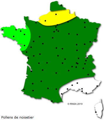 Image d'illustration pour Soleil et douceur favorisent floraisons et pollens