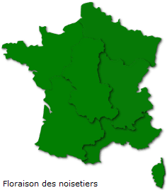 Image d'illustration pour Soleil et douceur favorisent floraisons et pollens