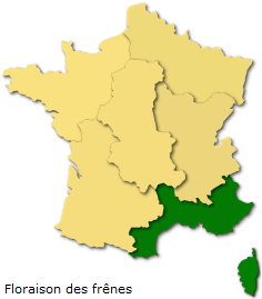 Image d'illustration pour Soleil et douceur favorisent floraisons et pollens