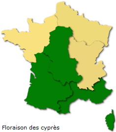 Image d'illustration pour Soleil et douceur favorisent floraisons et pollens