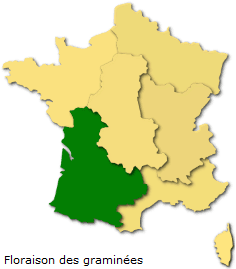 Image d'illustration pour Soleil et douceur favorisent floraisons et pollens