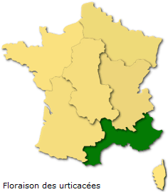 Image d'illustration pour Soleil et douceur favorisent floraisons et pollens
