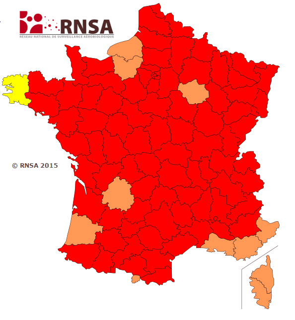 Image d'illustration pour Risque allergique maximal face aux pollens de graminées