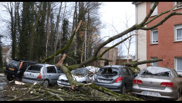 Image d'illustration pour Neige et froid : vos questions et nos réponses