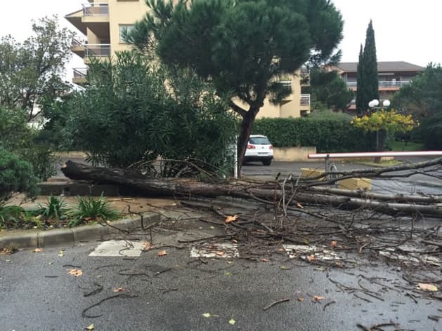 Image d'illustration pour Dépression Hiltrud : fort coup de vent sur la France