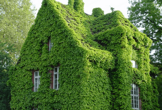 Image d'illustration pour La canicule persiste... dans les habitations