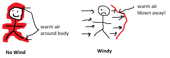 Image d'illustration pour Bilan de l'épisode de froid et de neige fin 2014 et début 2015