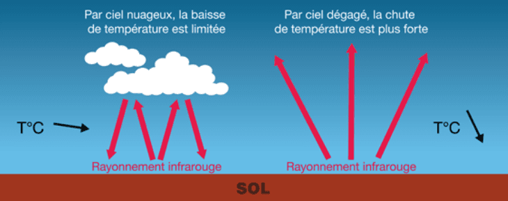 Image d'illustration pour Les gelées sont au rendez-vous de l'automne