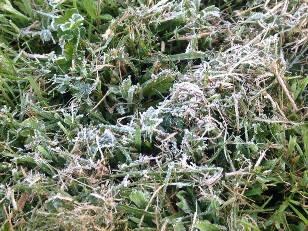 Image d'illustration pour Gelée blanche au Nord-Ouest et records de douceur près de la Méditerranée