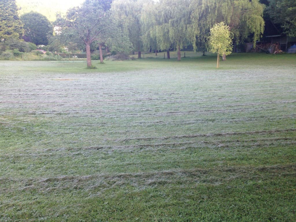 Image d'illustration pour Gelée blanche au Nord-Ouest et records de douceur près de la Méditerranée