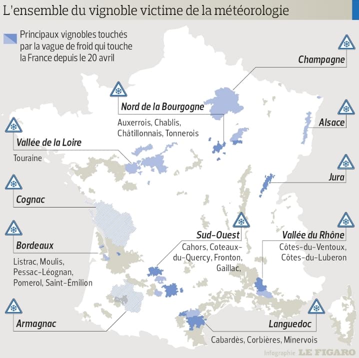 Image d'illustration pour Vendanges : la récolte 2017 sera la plus faible depuis 70 ans 