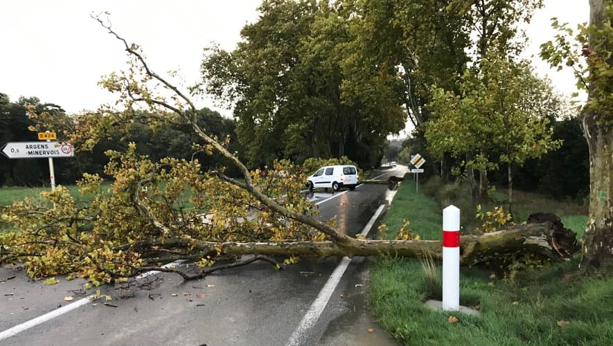 Image d'illustration pour Tempête Amélie pour ce week-end de la Toussaint 