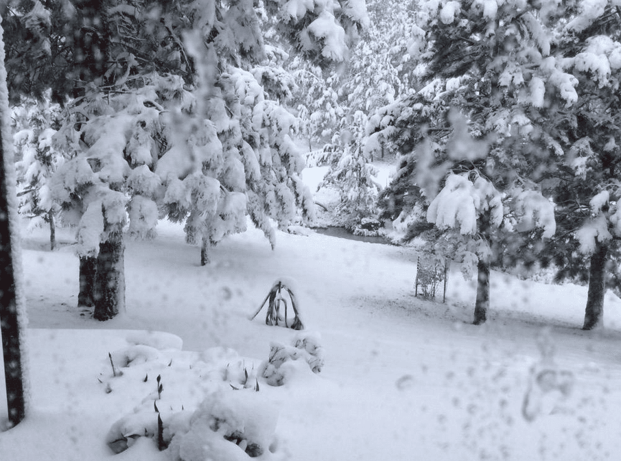 Image d'illustration pour Retour de la neige sur les Etats-Unis et le Canada