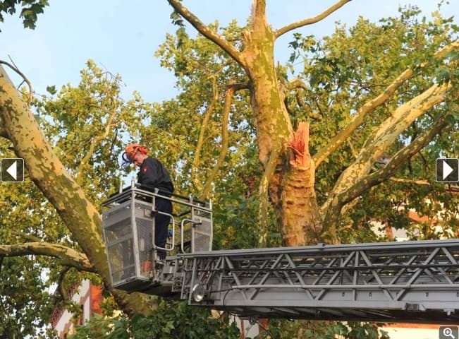 Image d'illustration pour Retour des orages (vigilance)