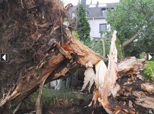 Image d'illustration pour Retour des orages (vigilance)