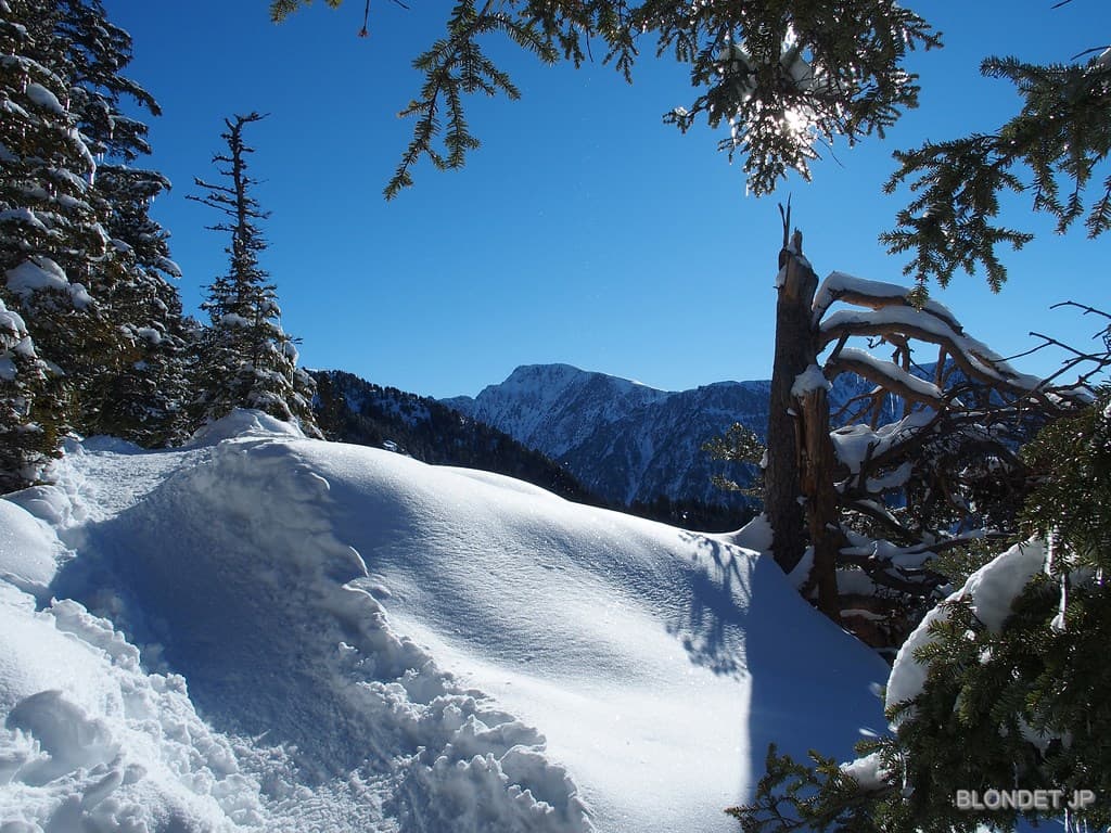 Image d'illustration pour Vacances aux sports d'hiver : enneigement et avalanche