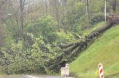Image d'illustration pour Tempête, forte pluie, neige et orages les 24 & 25 avril
