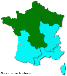Image d'illustration pour Après le bouleau, les pollens de graminées provoquent des allergies