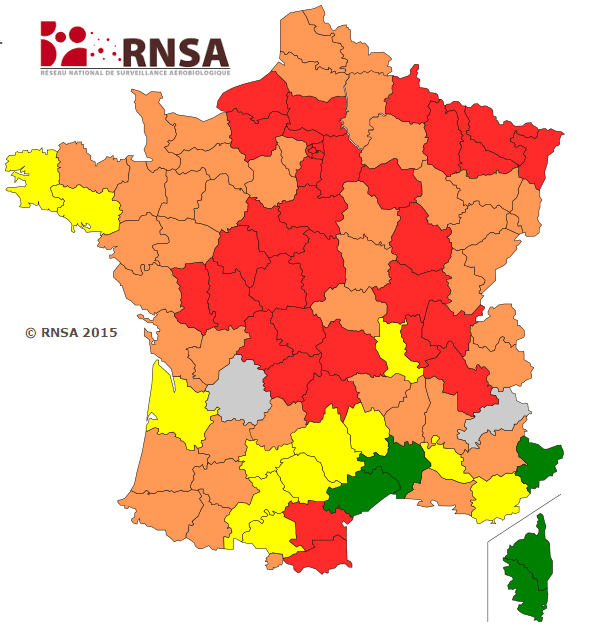 Image d'illustration pour Les pollens de printemps se dispersent : forts risques d'allergie