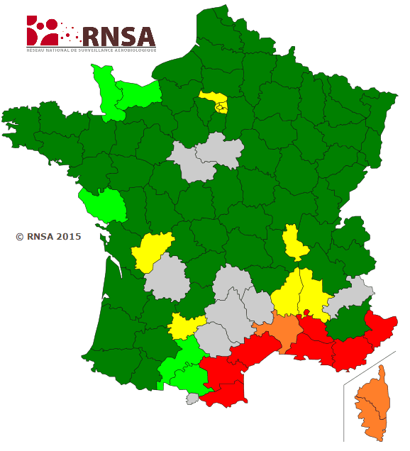 Image d'illustration pour Les pollens passent à l'attaque : gare aux allergies !