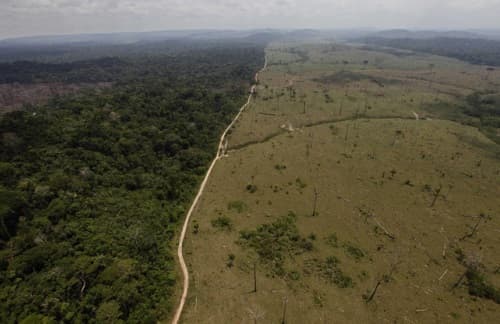 Image d'illustration pour Réchauffement et changement climatique - Veille documentaire