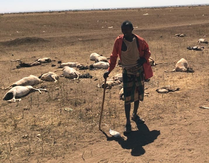 Image d'illustration pour Urgence humanitaire - Sécheresse sur la Corne de l'Afrique