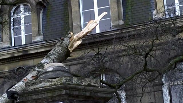 Image d'illustration pour Fort coup de vent : quelques dégâts sur le Nord Pas de Calais